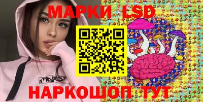 ешки Краснодар